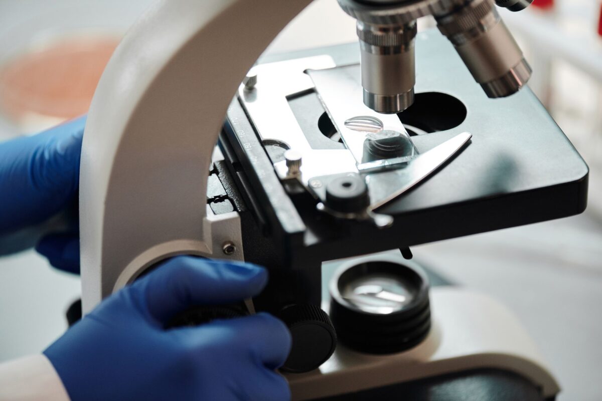 cumuler salariat micro tester viabilité avant