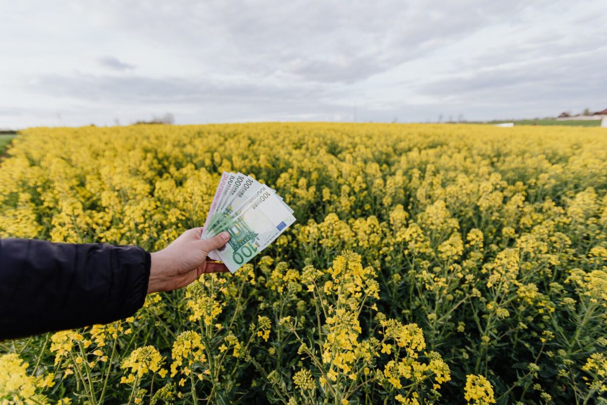 marketing réseau fonctionnement qu finance rémunération